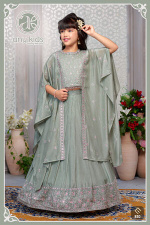 Lehenga Choli 810